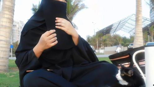 娱乐吃瓜君白鹿