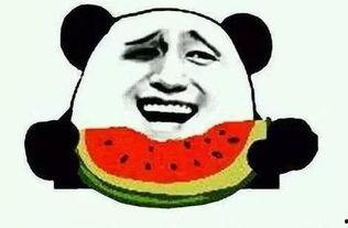 娱乐吃瓜最后一集是什么,揭秘娱乐圈背后的真相与悬念揭晓